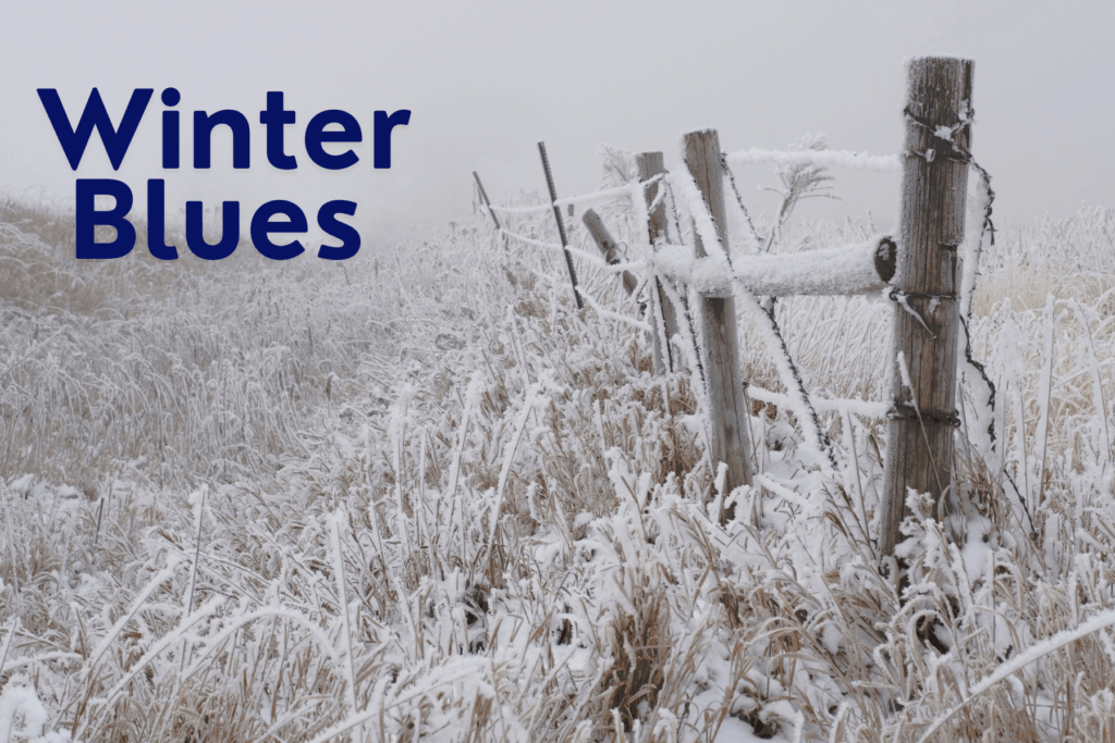 Winter Blues 1 Winter Blues